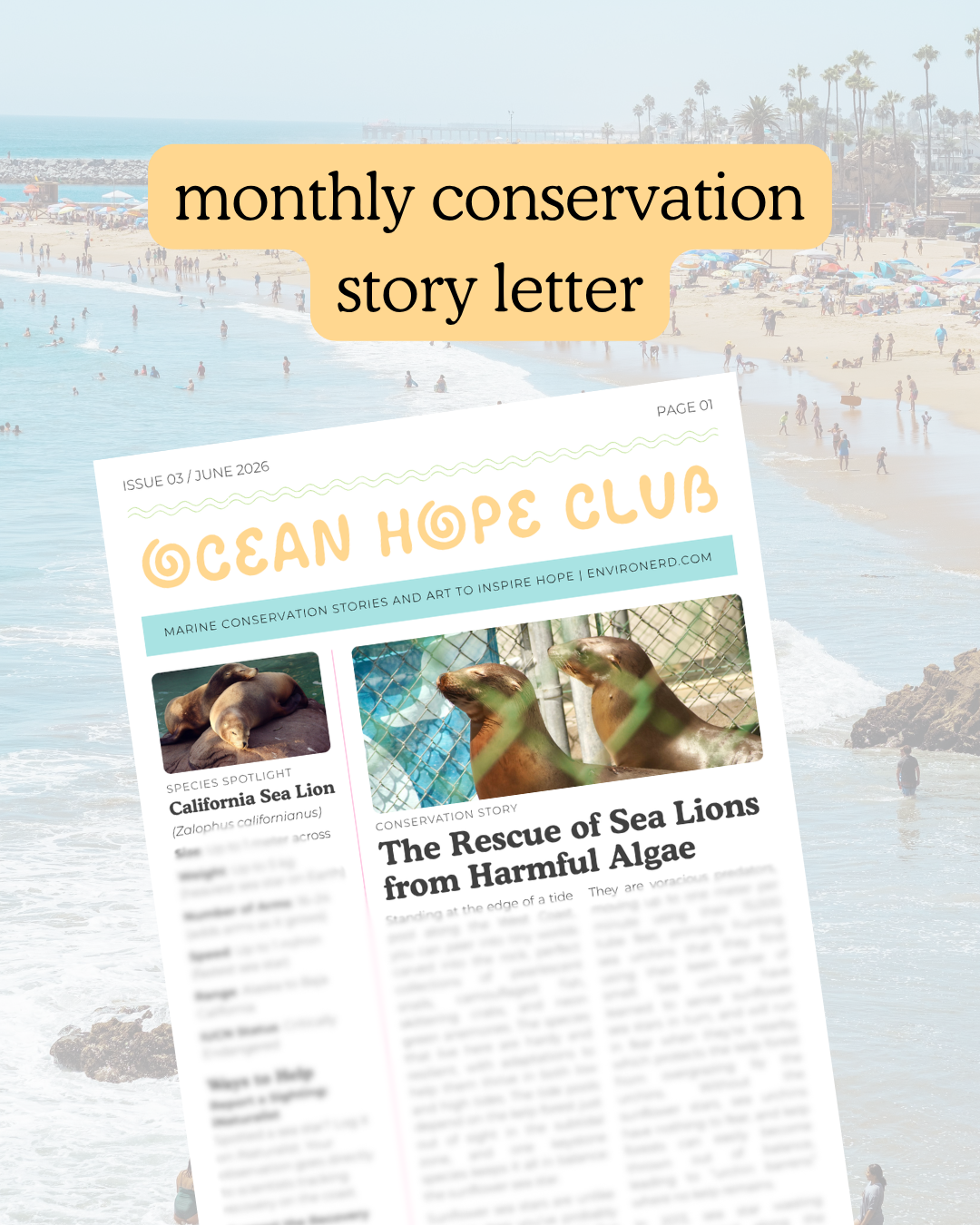 Ocean Hope Club: Monthly Subscription