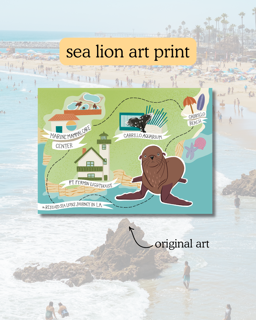 Ocean Hope Club: Monthly Subscription