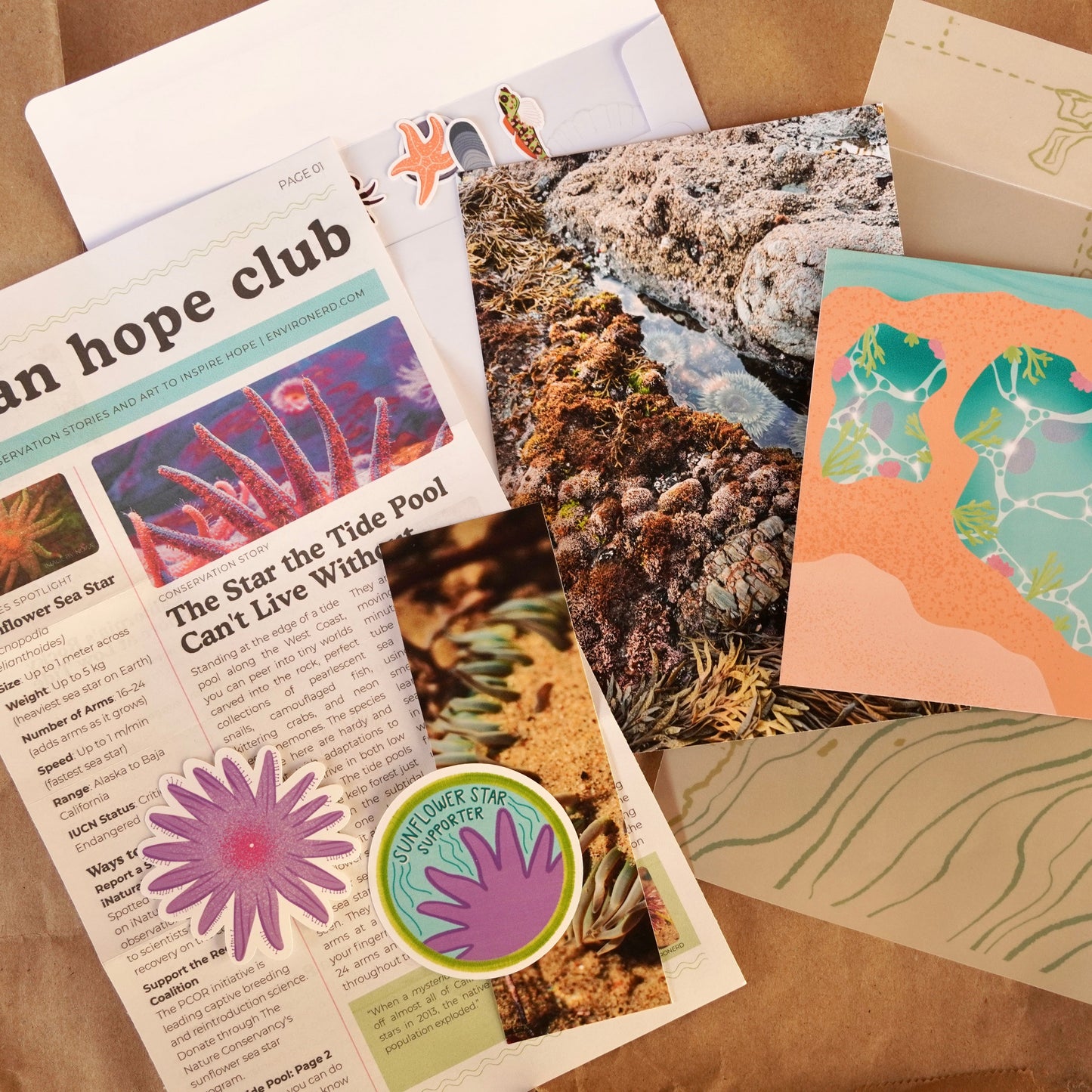 Archive: Ocean Hope Club Back-Issues