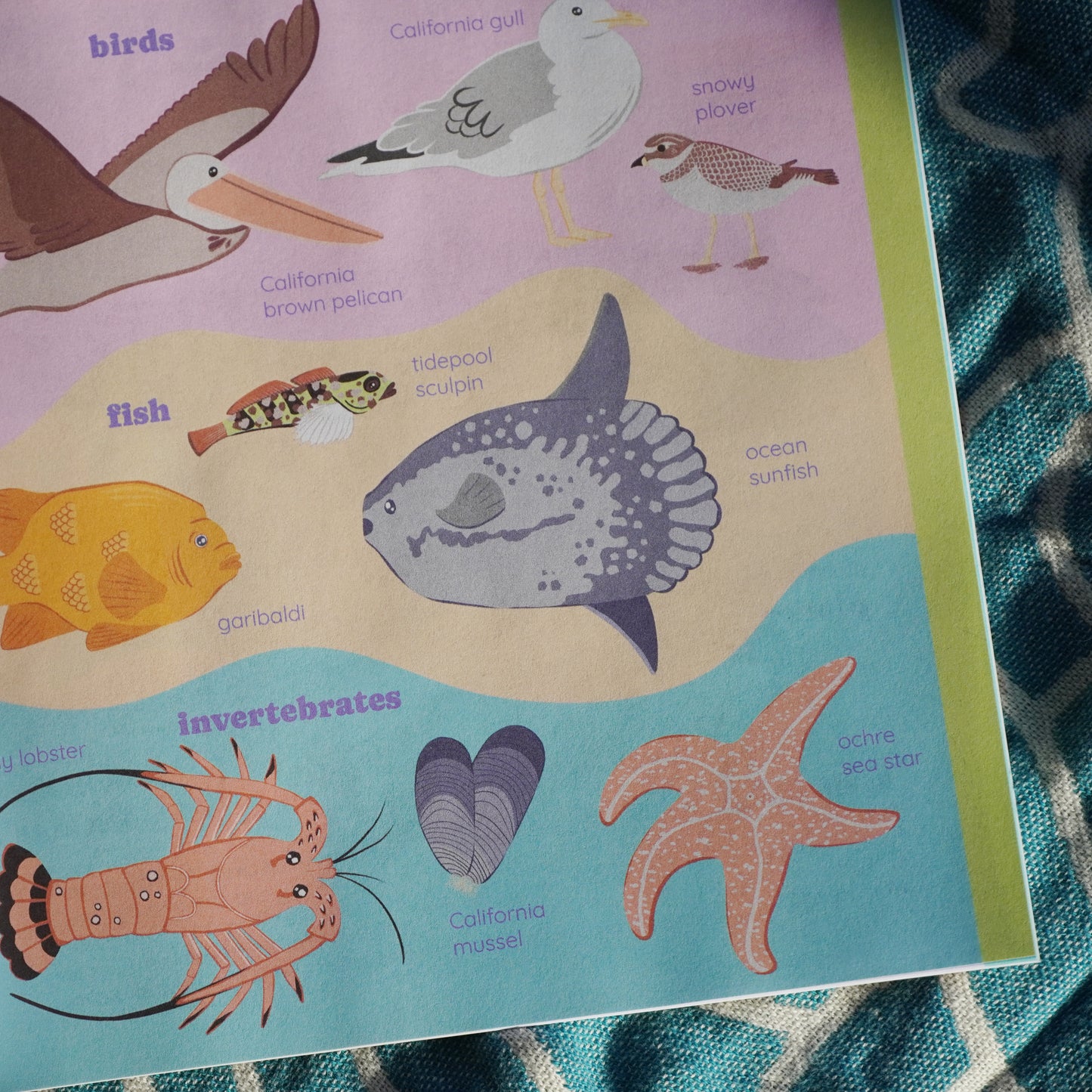 Beach Nature Journal